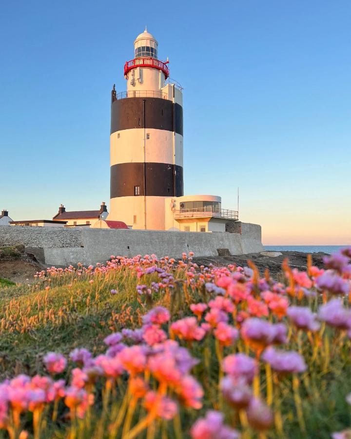 Thistledown Lodge Fethard-on-Sea Buitenkant foto