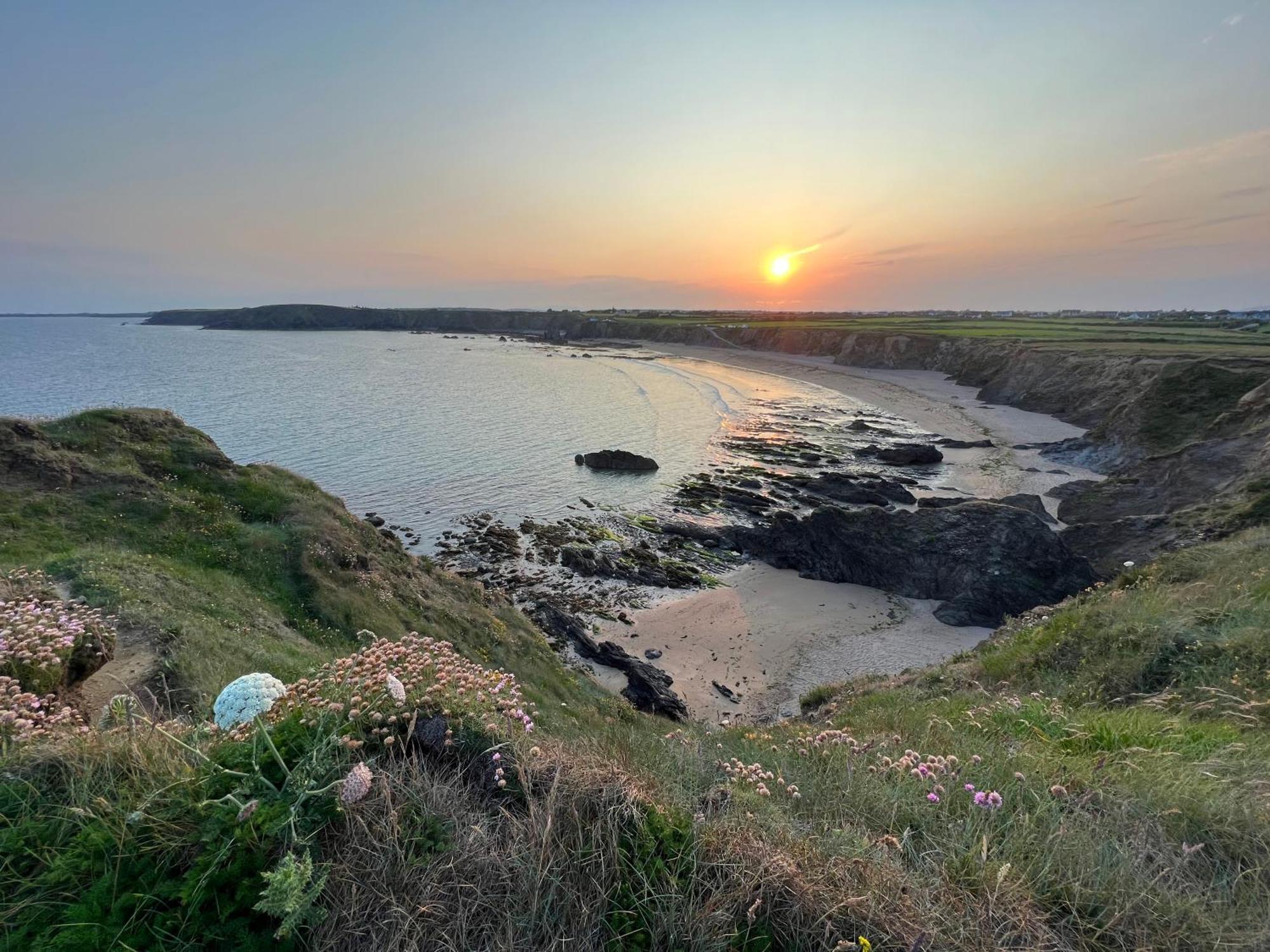 Thistledown Lodge Fethard-on-Sea Buitenkant foto