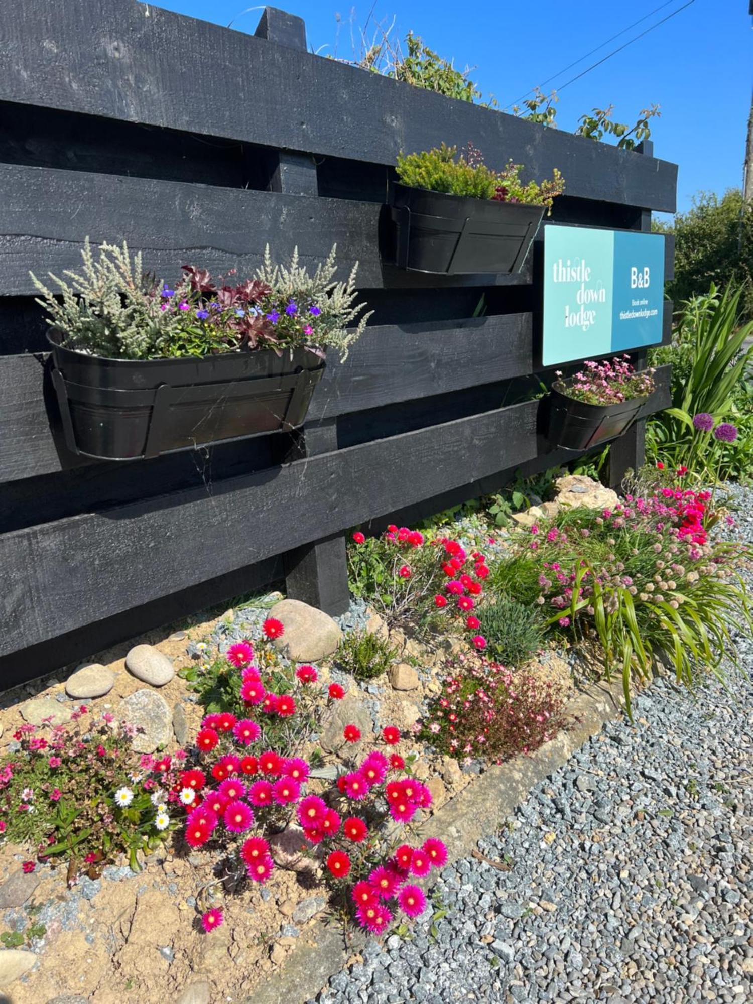 Thistledown Lodge Fethard-on-Sea Buitenkant foto