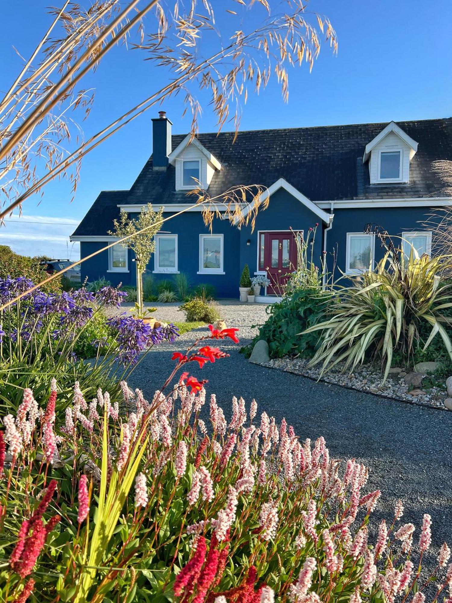 Thistledown Lodge Fethard-on-Sea Buitenkant foto